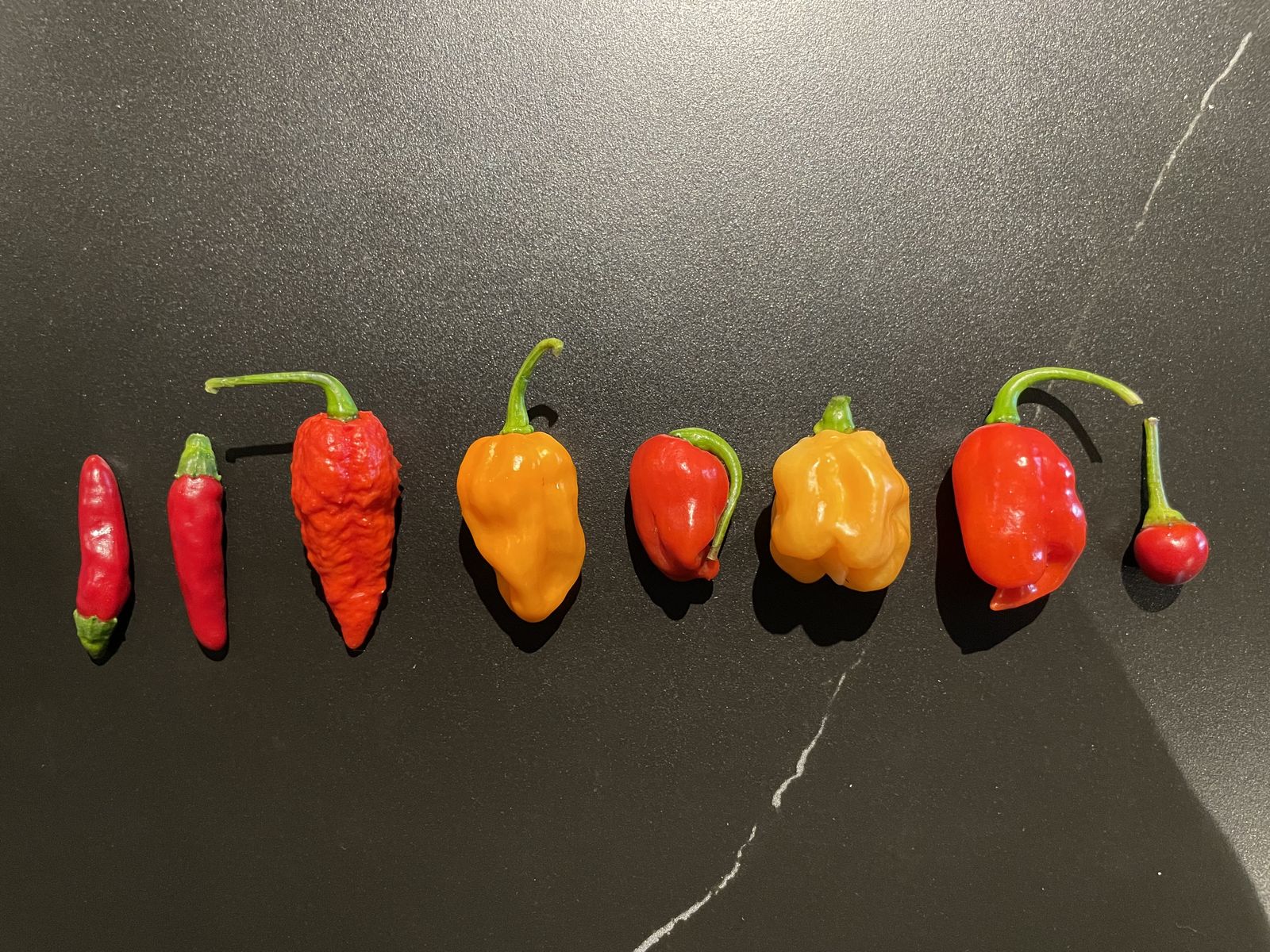 Dünyanın En Acı Biberi ve En Acı 10 Biber Sıralaması (2026 Güncel)