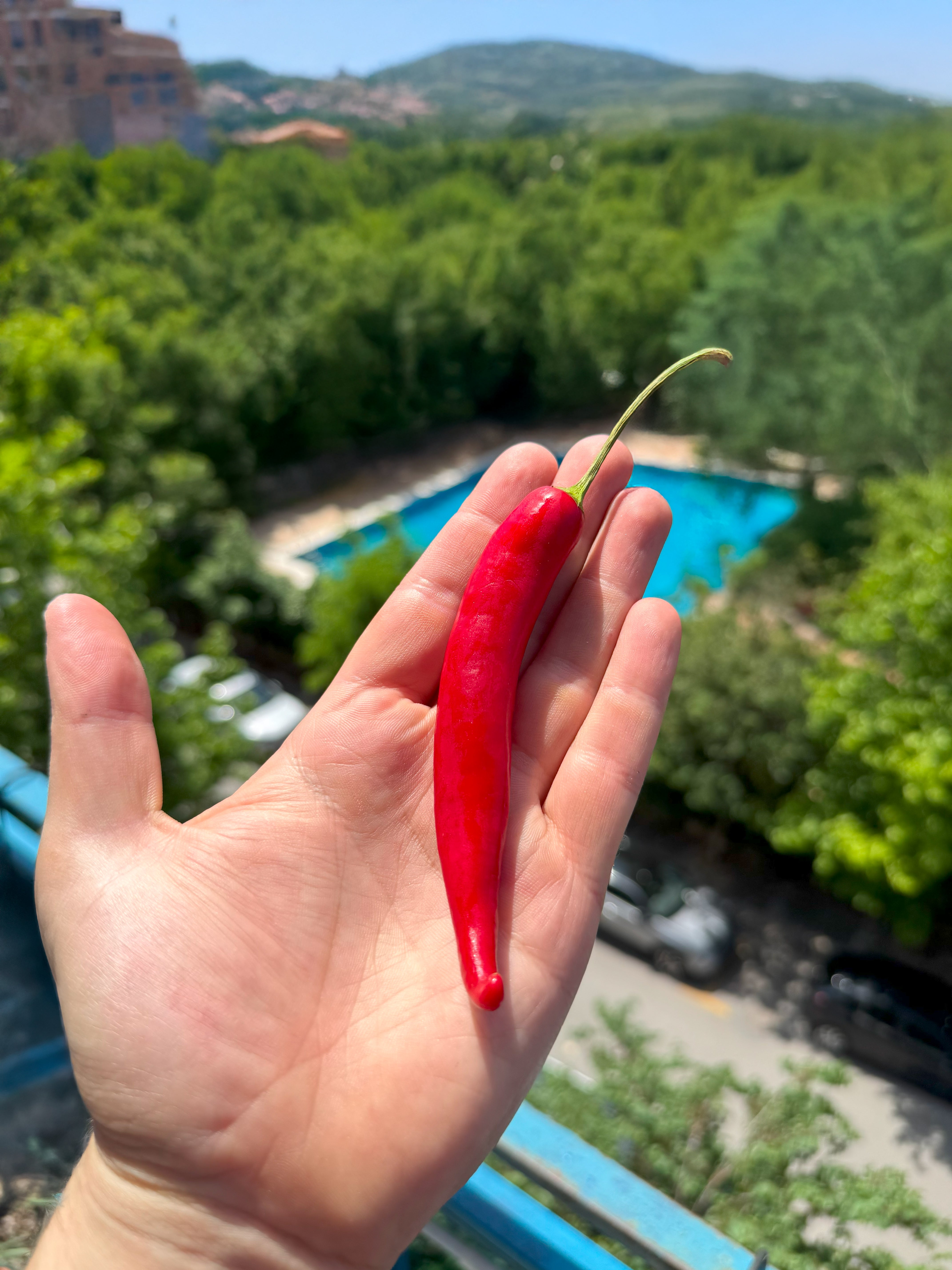 Pul Piber - Cayenne Pepper