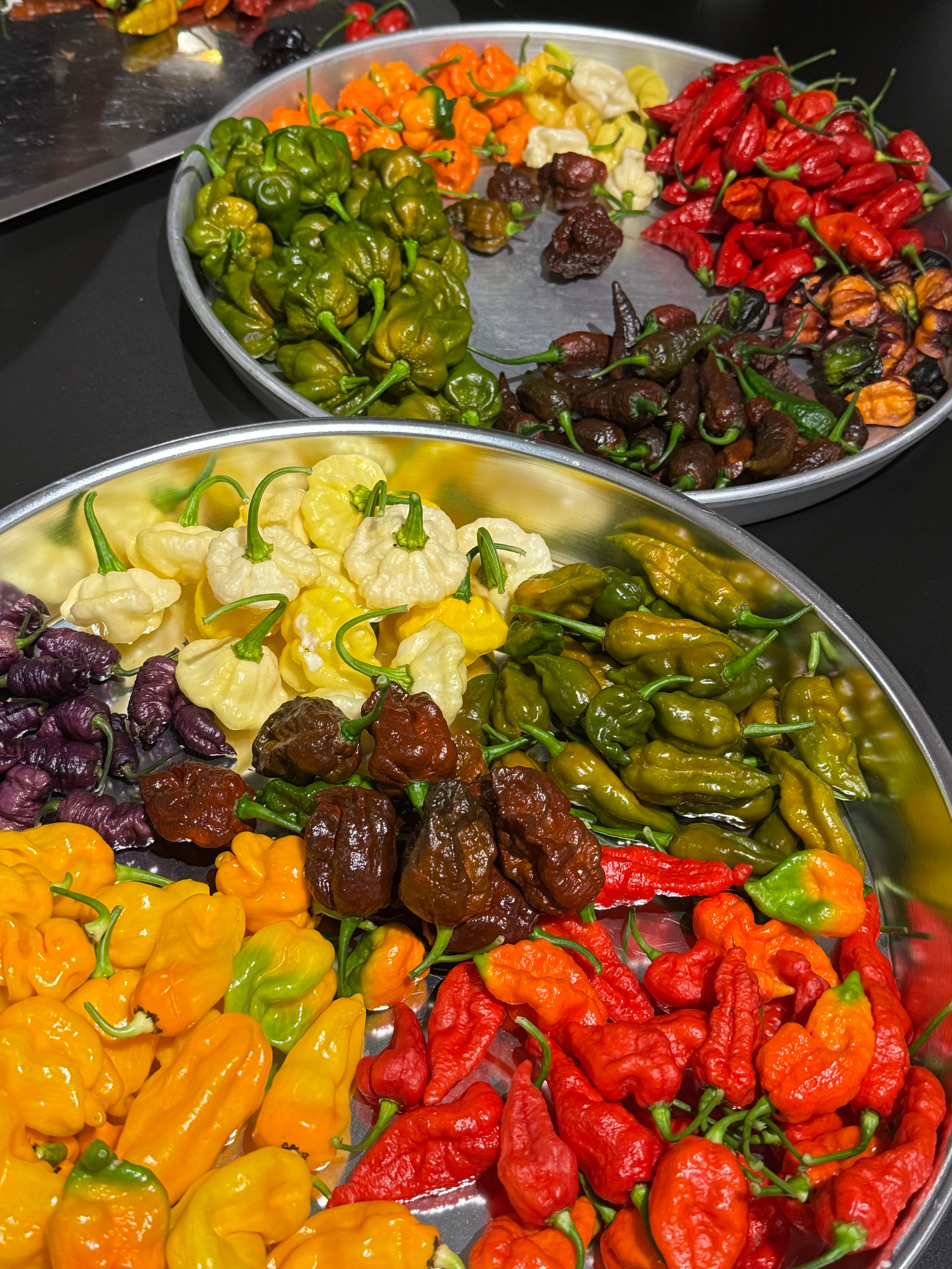 Egzotik acı biberler - İstanbul'da yetiştirilen taze acı biber çeşitleri