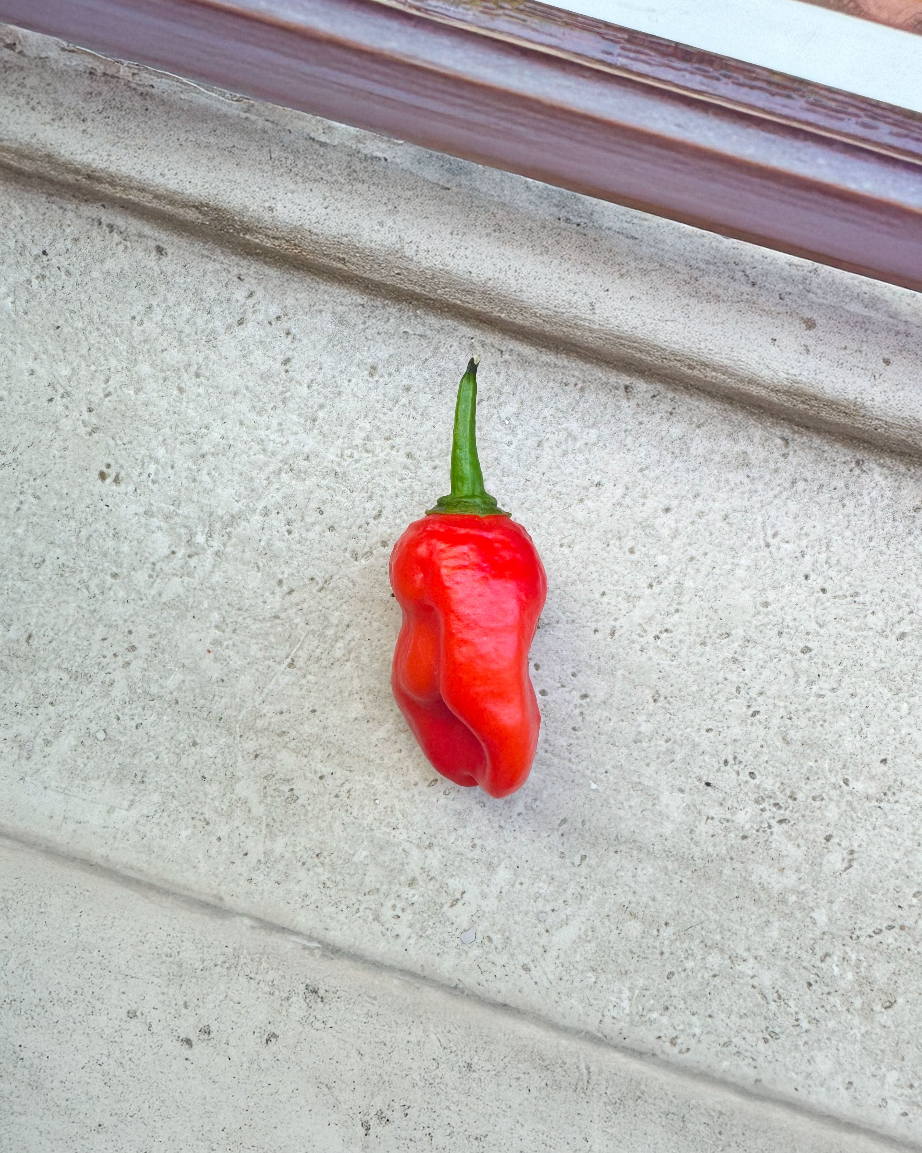 Acı Tuz - Ghost Pepper