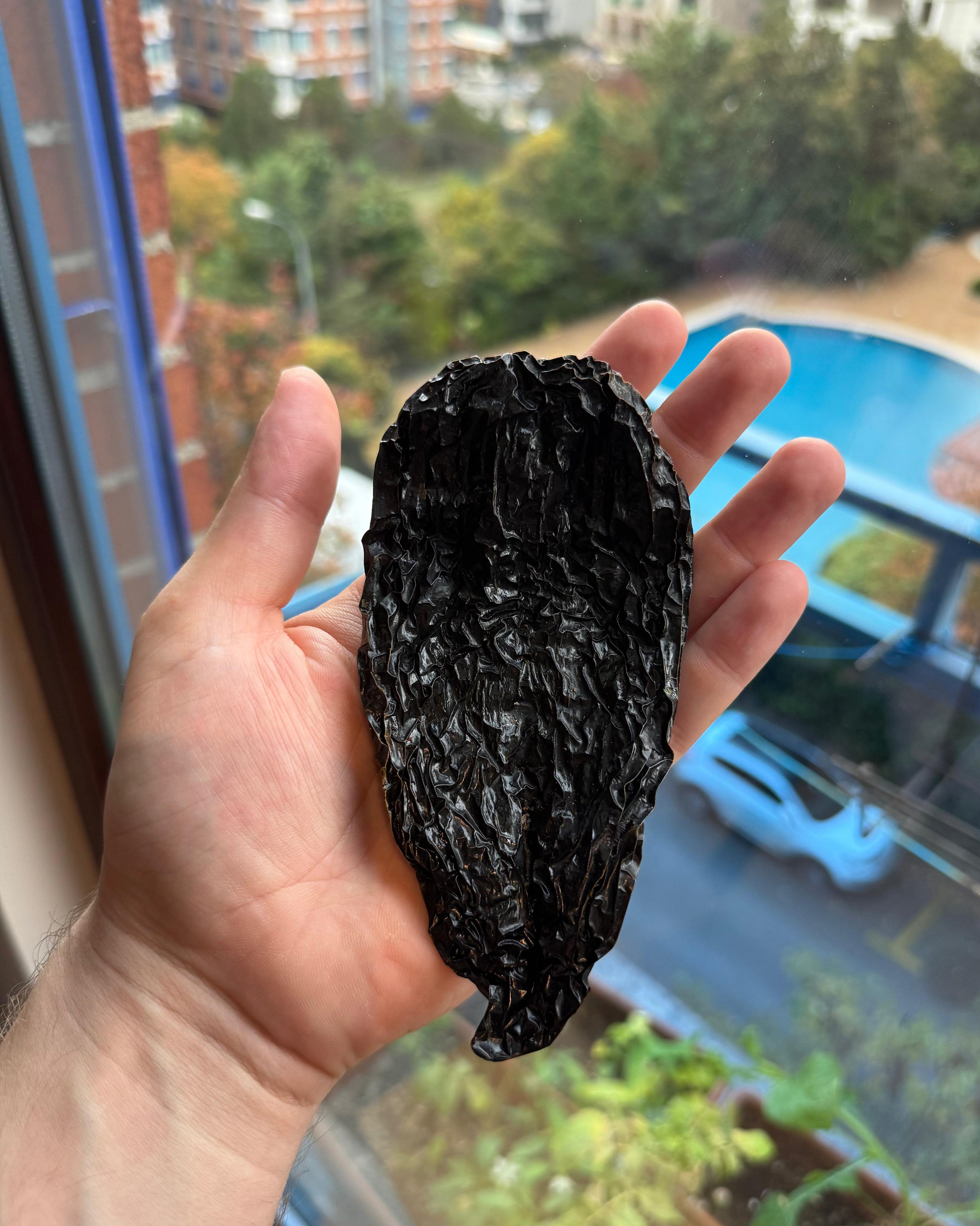 Pul Piber - Mulato Pepper