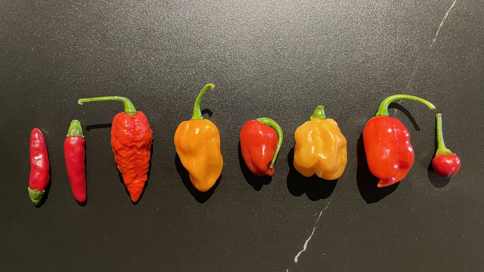 Dünyanın En Acı Biberi ve En Acı 10 Biber Sıralaması (2026 Güncel)