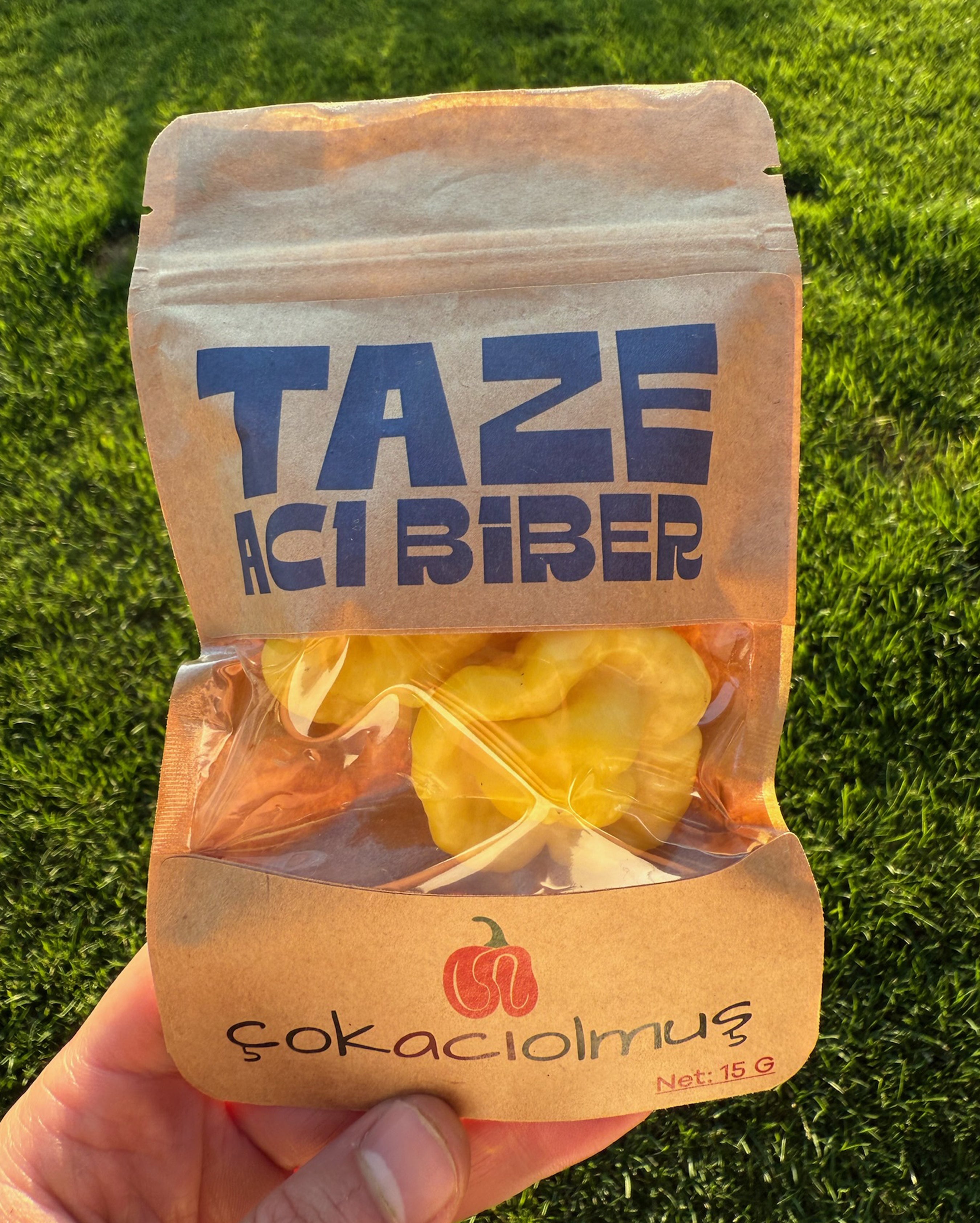 Taze Acı Biber - Lemon Starrburst