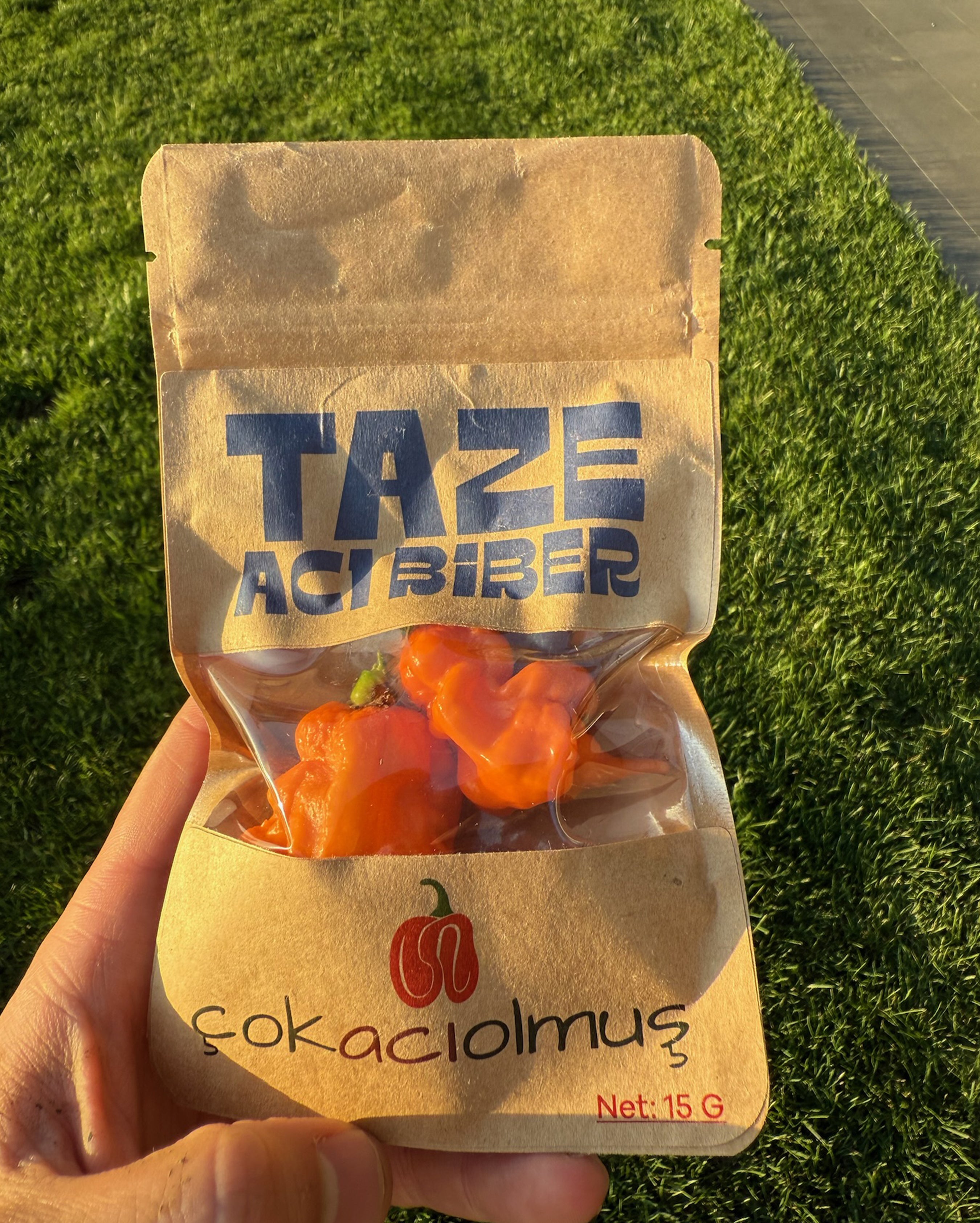 Taze Acı Biber - Orange Ripple