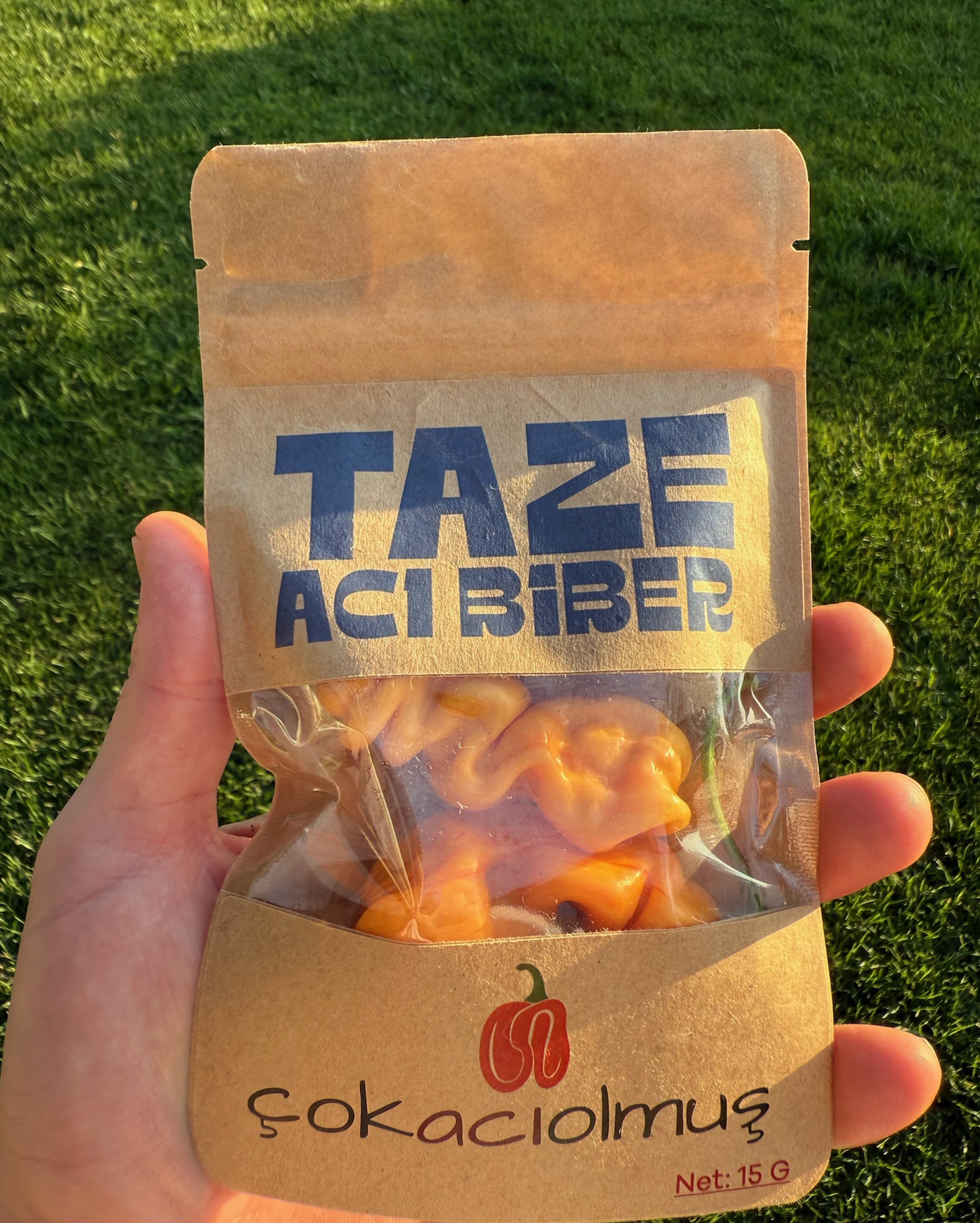 Taze Acı Biber - Sugar Rush Stripey
