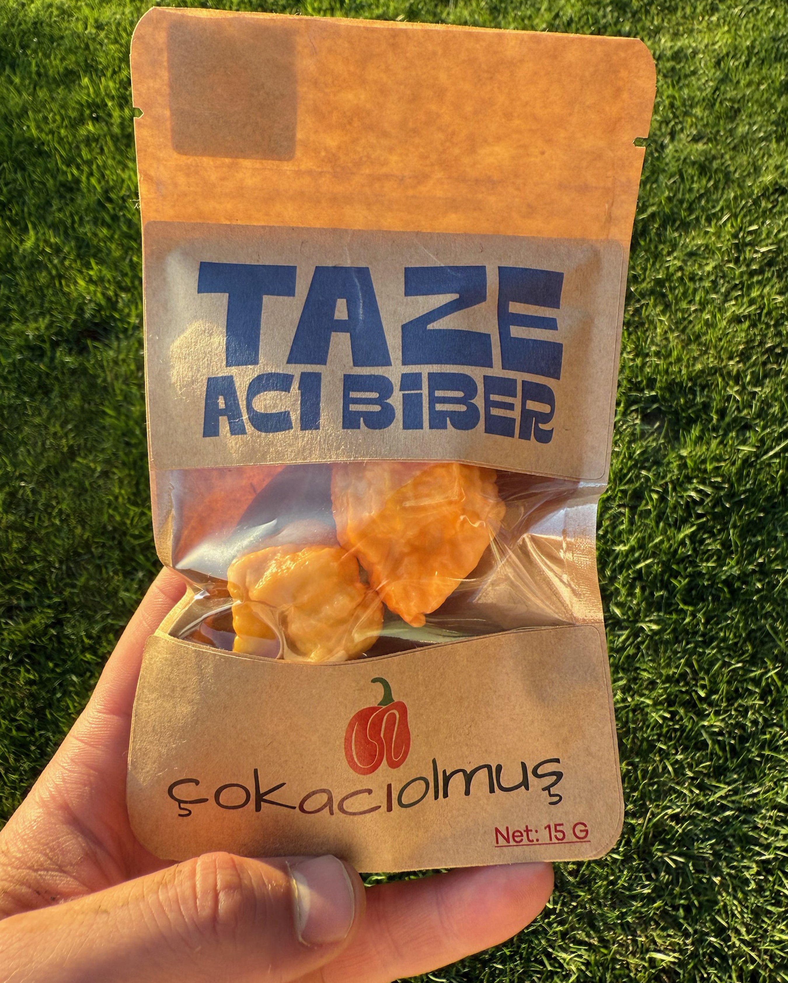 Taze Acı Biber - Trinidad Scorpion Moruga Yellow