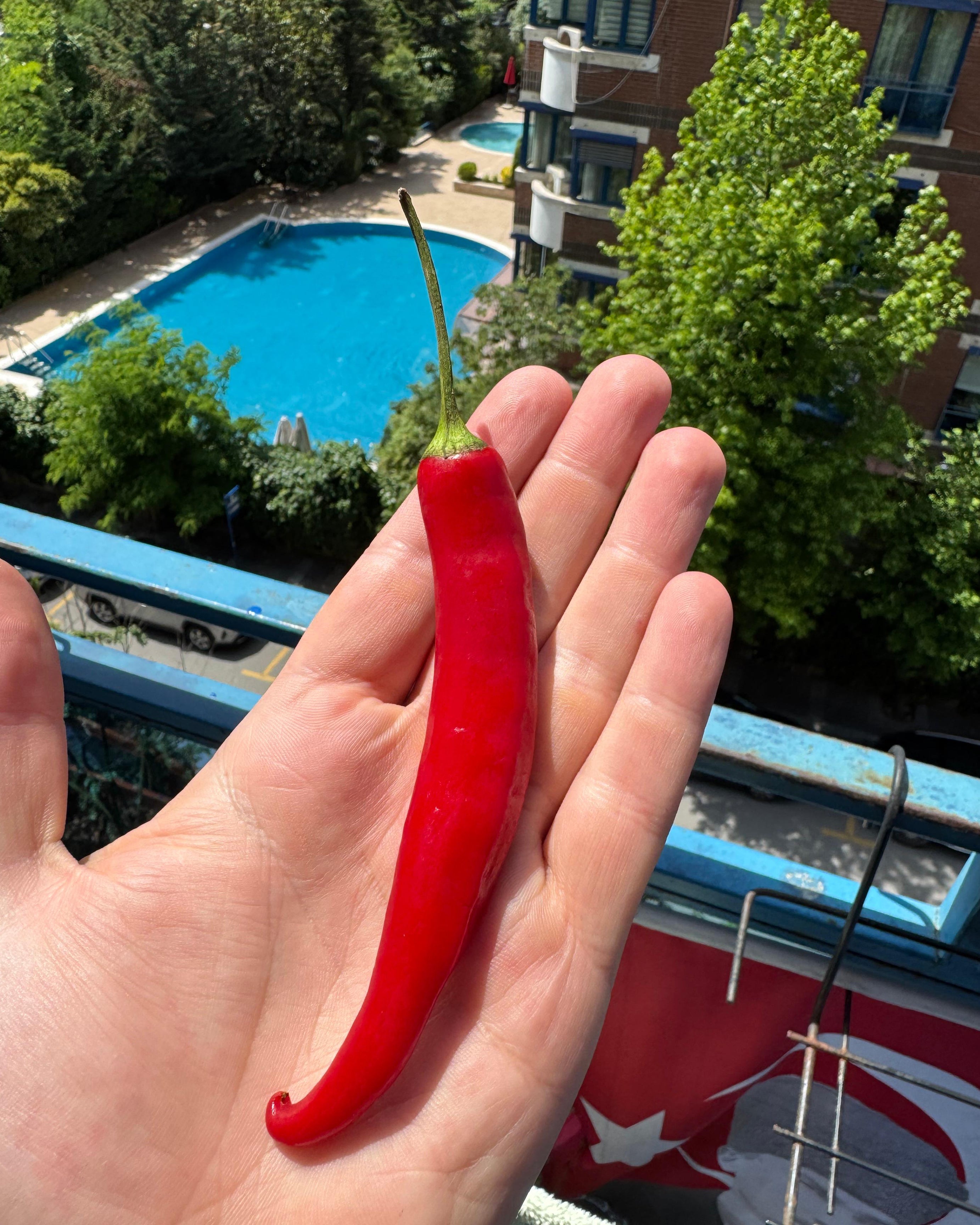 Pul Piber - Cayenne Pepper