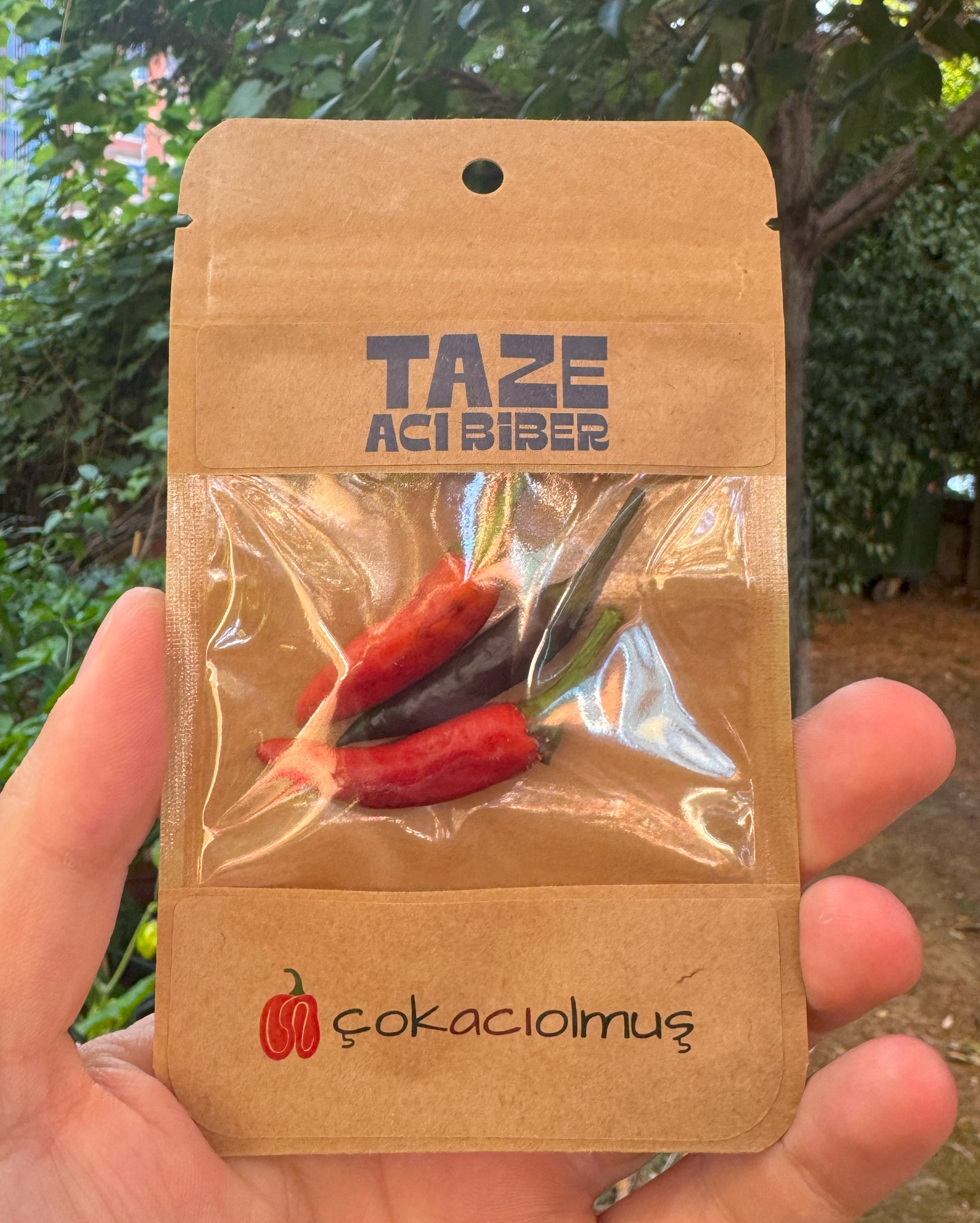 Taze Acı Biber - Royal Black