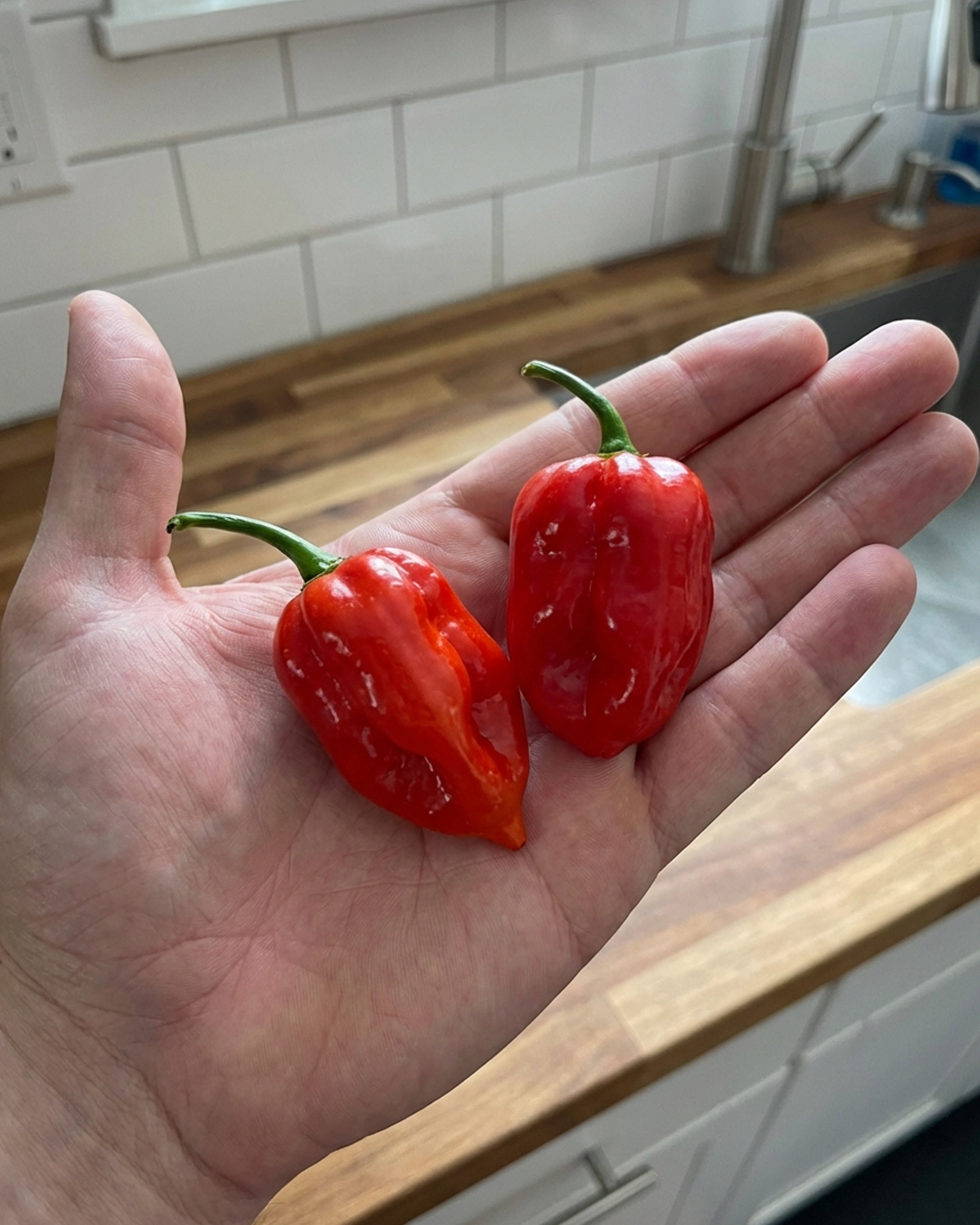 Acı Tuz - Scotch Bonnet